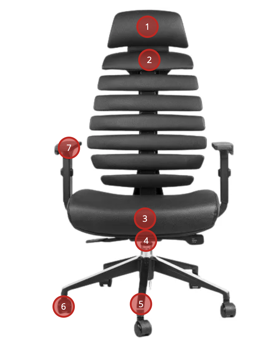 Ergonomická židle FISHBONES