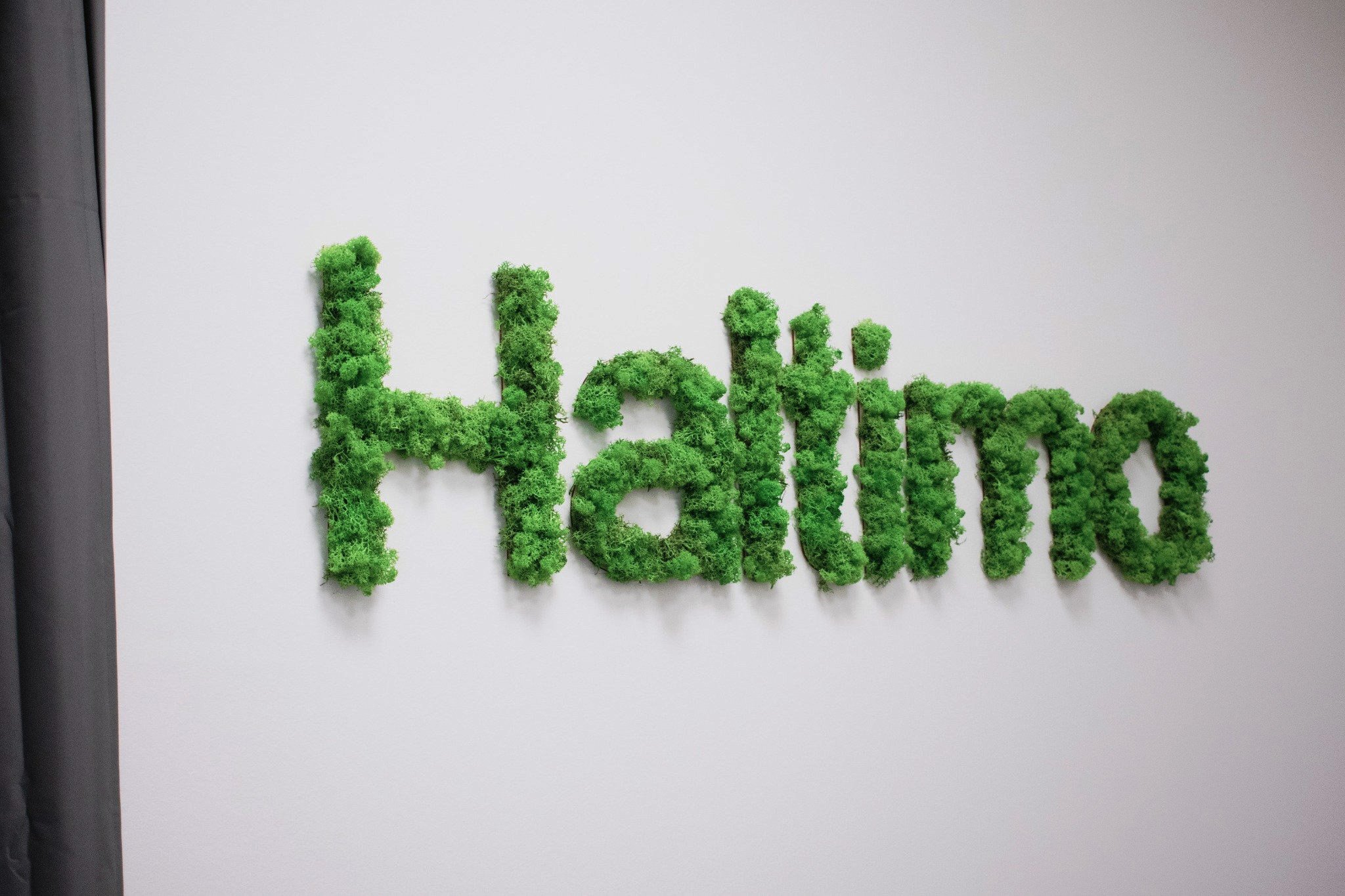 Haltimo