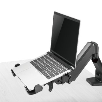 HS-F8036